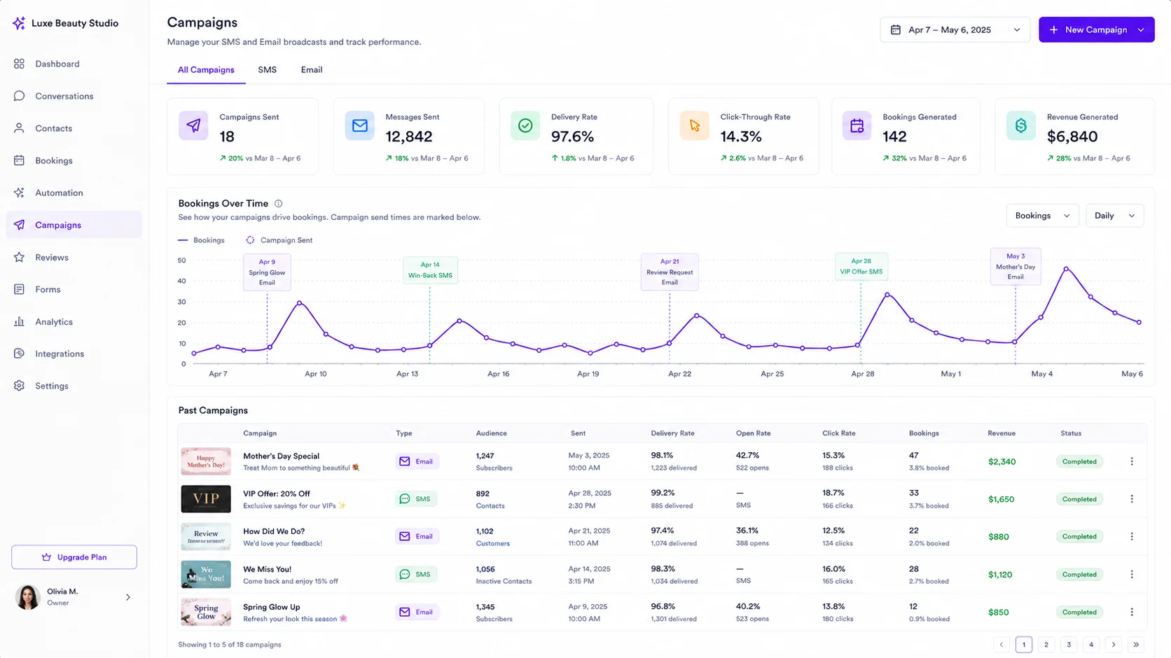 Zelzoni campaigns interface showing primary features and options dashboard mockup