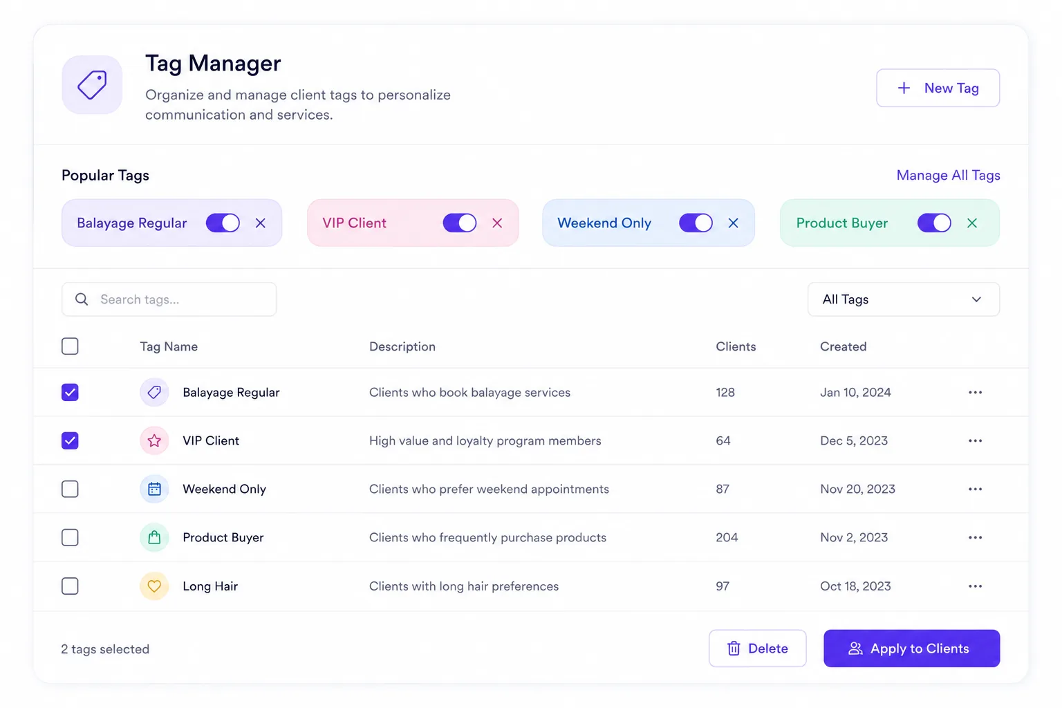 Segment list manager showing custom tags applied to client profiles